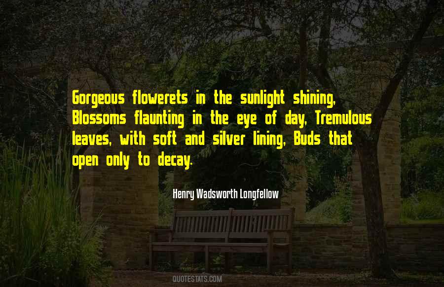 A Gorgeous Day Quotes #983163