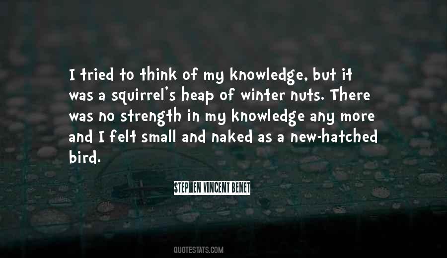 Bird In Winter Quotes #747182