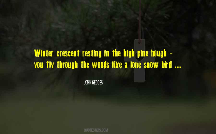 Bird In Winter Quotes #923617
