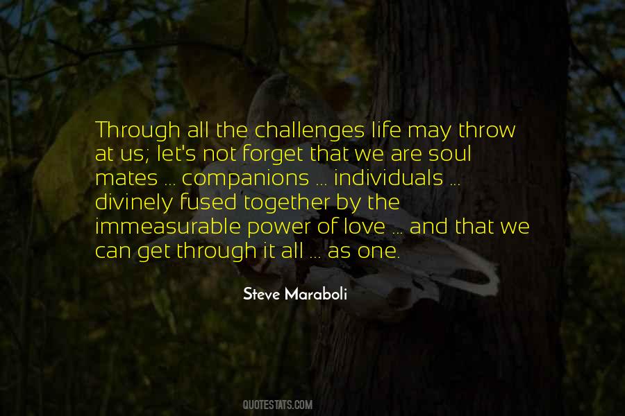 Challenges Life Quotes #756655