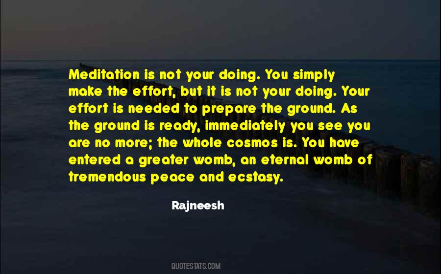 No More Effort Quotes #1191212