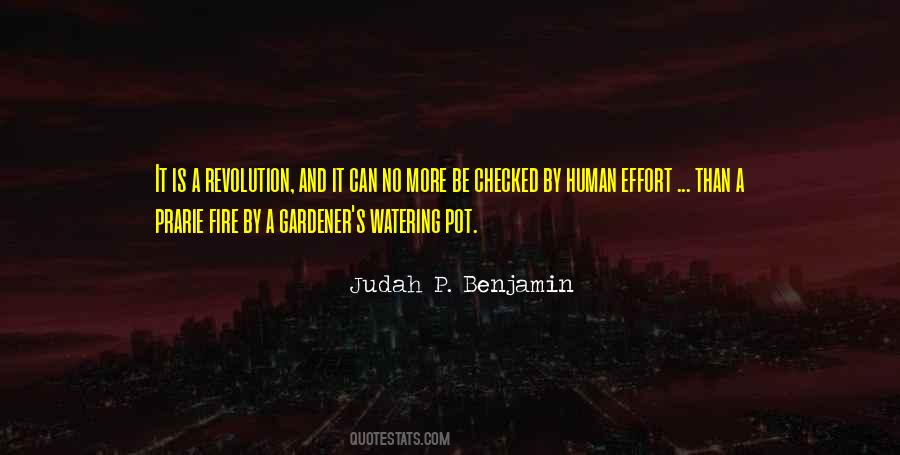 No More Effort Quotes #1636942