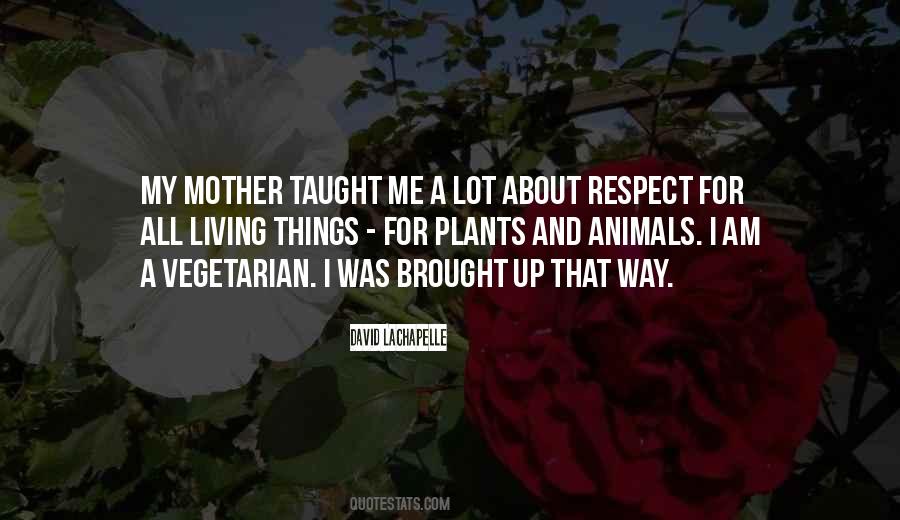 I Was Taught Respect Quotes #1408198