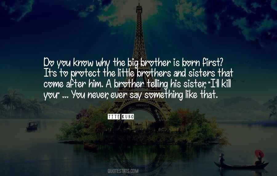 Like A Big Brother Quotes #137968
