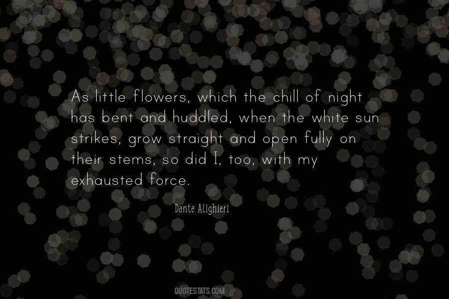 Quotes About Night Flowers #739610