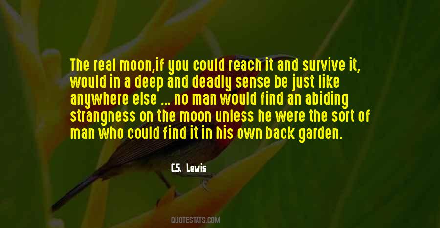 Quotes About The Man On The Moon #1443398
