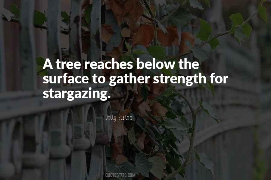 Strength Of A Tree Quotes #1533027