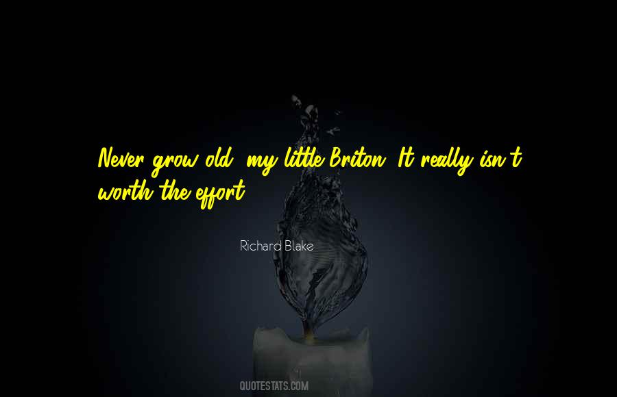 Never Worth It Quotes #348563