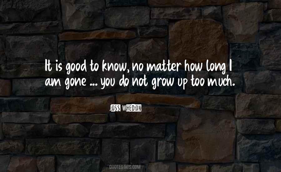 No Matter How Much You Do Quotes #1565439