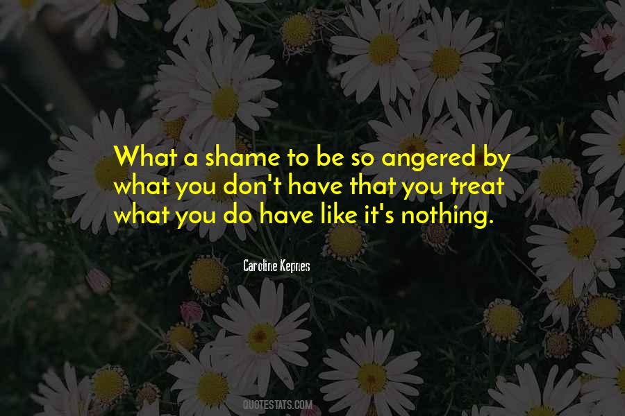 What A Shame Quotes #25001