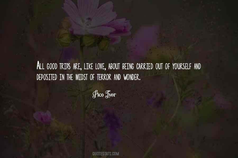 Good Wonder Quotes #390557
