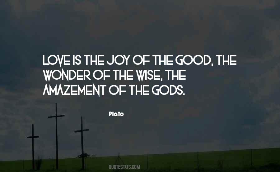 Good Wonder Quotes #411199