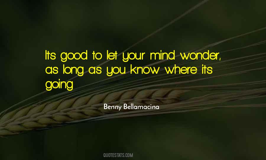 Good Wonder Quotes #820078