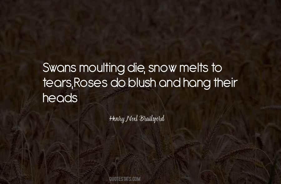Beauty Roses Quotes #605347