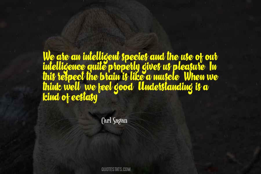 Quotes About Respect And Understanding #1172317