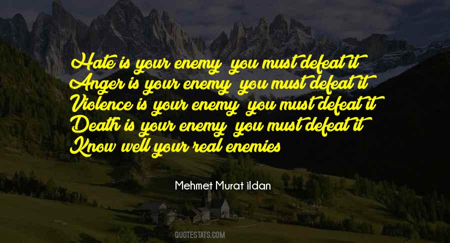 Hate Enemy Quotes #213308