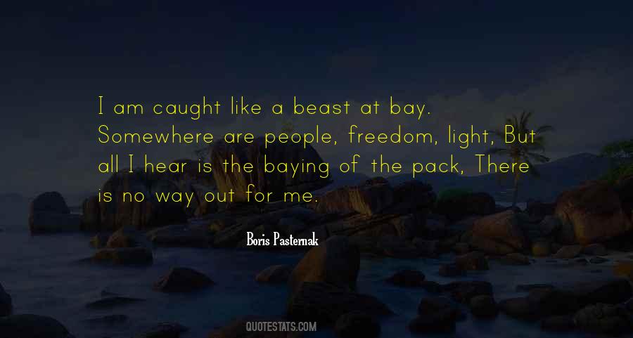 I Am A Beast Quotes #1078517
