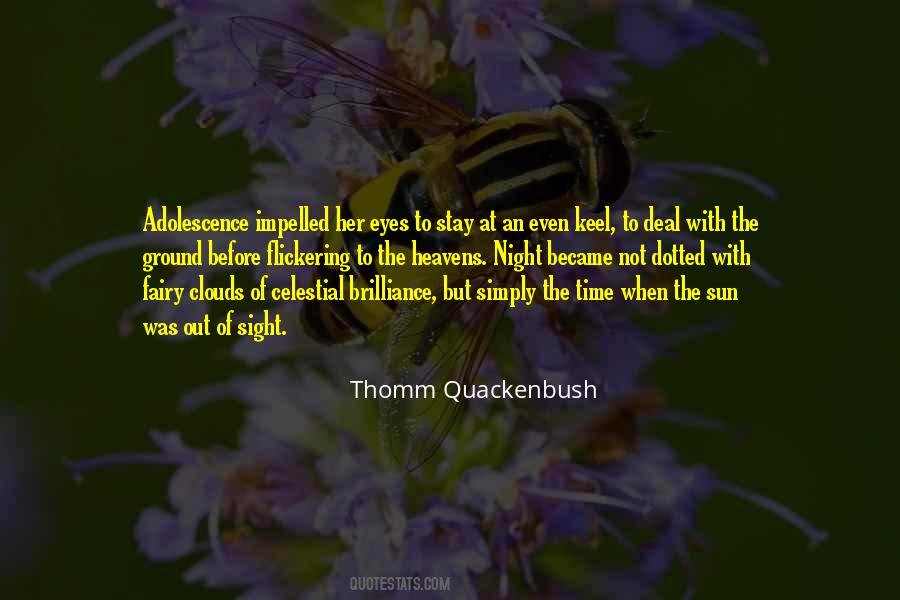 Fairy Night Quotes #1801417