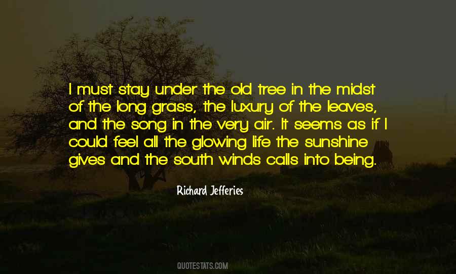 Old Tree Quotes #1047238