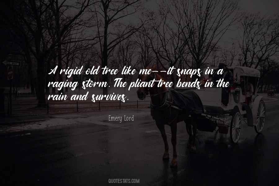 Old Tree Quotes #687137