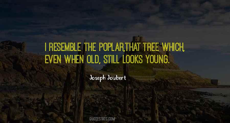 Old Tree Quotes #692984