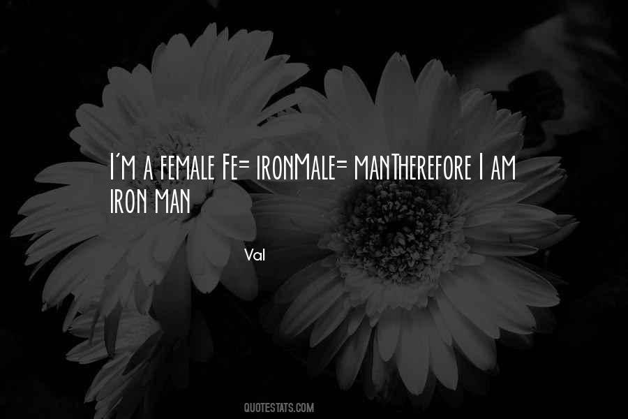 I Am Iron Man Quotes #847839