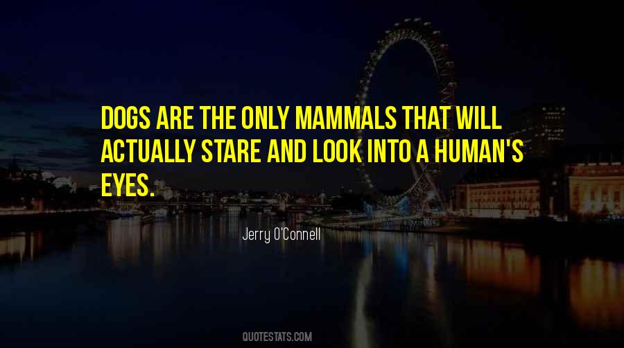 When I Look Into My Dogs Eyes Quotes #1244007