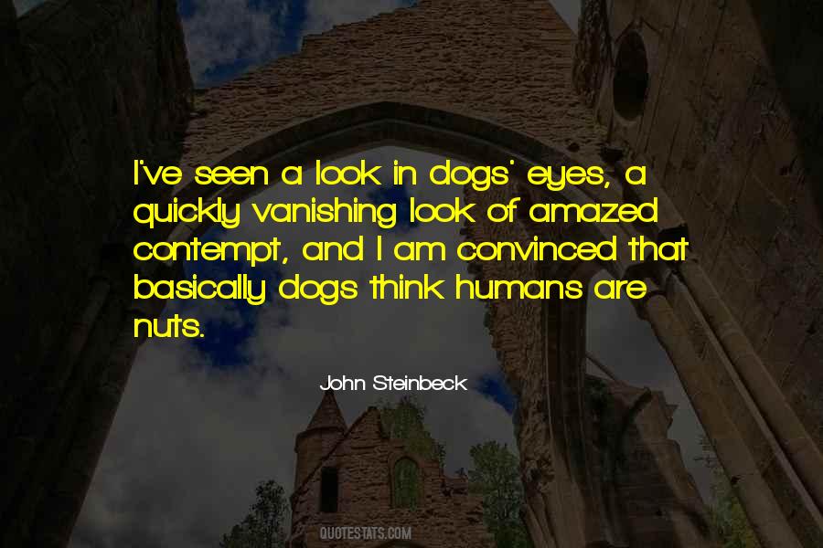 When I Look Into My Dogs Eyes Quotes #784779
