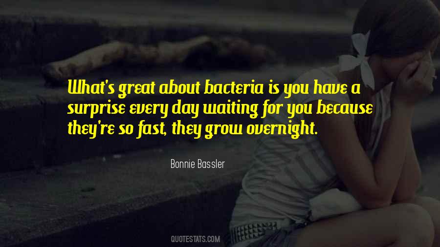 What A Great Day Quotes #1588320