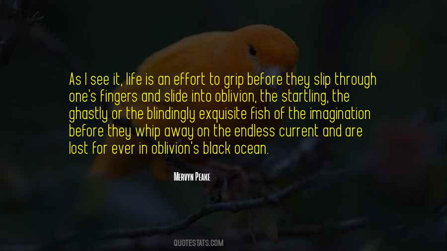 Life Slip Away Quotes #1854496