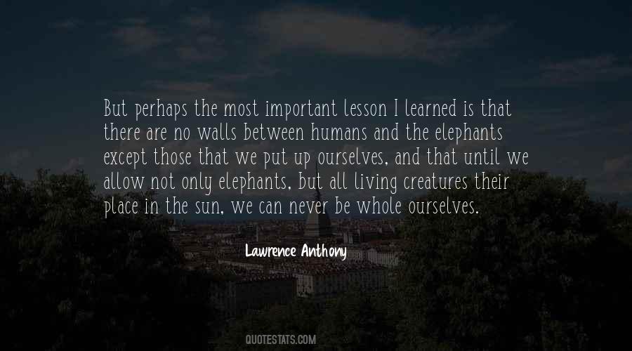 We All Are Humans Quotes #888324