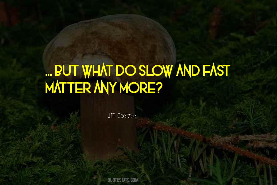 Slow And Fast Quotes #1258211