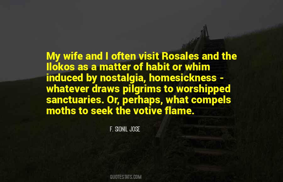 Quotes About The Pilgrims #224636