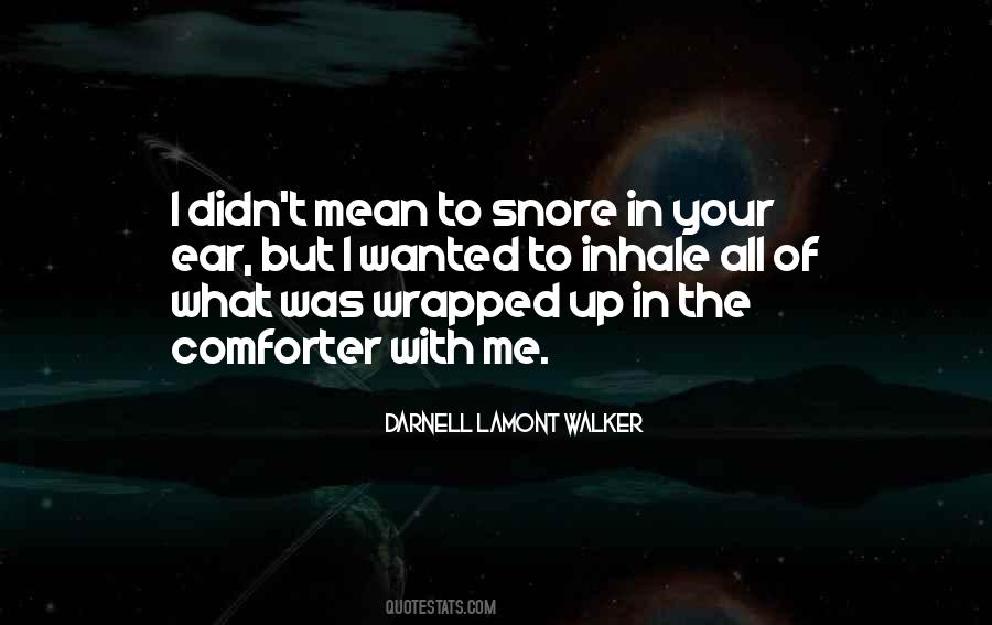 Quotes About The Comforter #699318