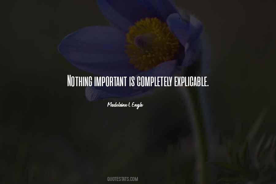 Nothing Important Quotes #1182990