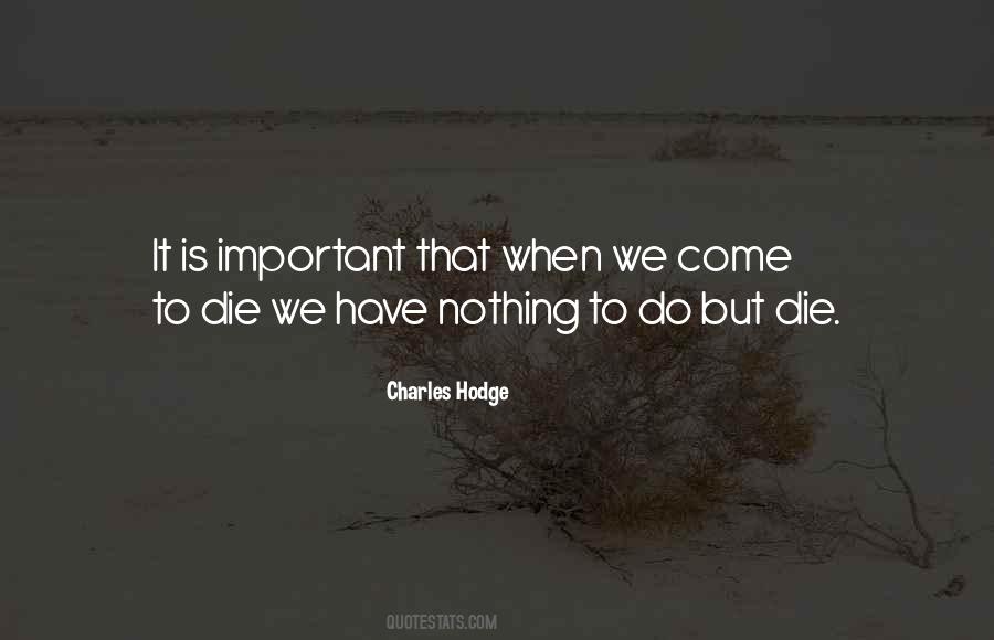 Nothing Important Quotes #904600
