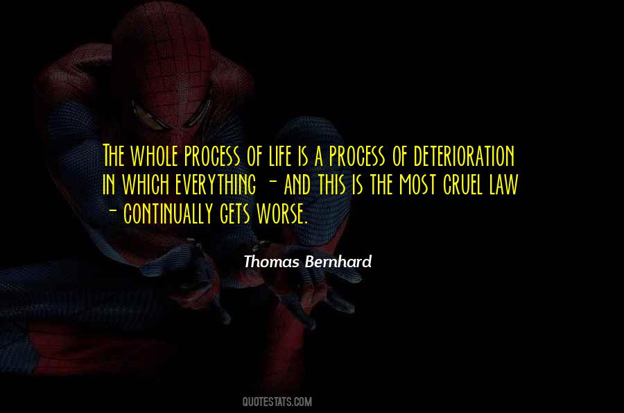 Law Of Process Quotes #1739653