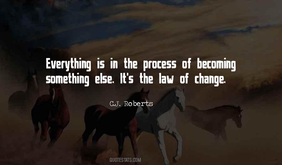 Law Of Process Quotes #446918