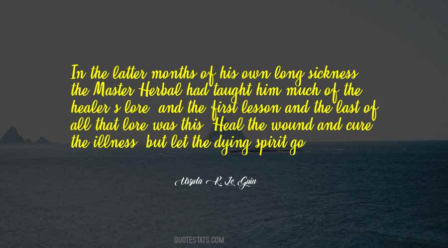 The Healer Quotes #1144172