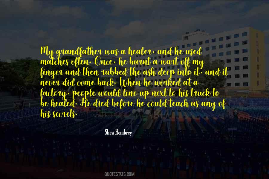 The Healer Quotes #1159928