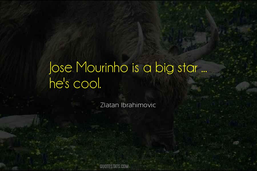 Cool Star Quotes #1468717