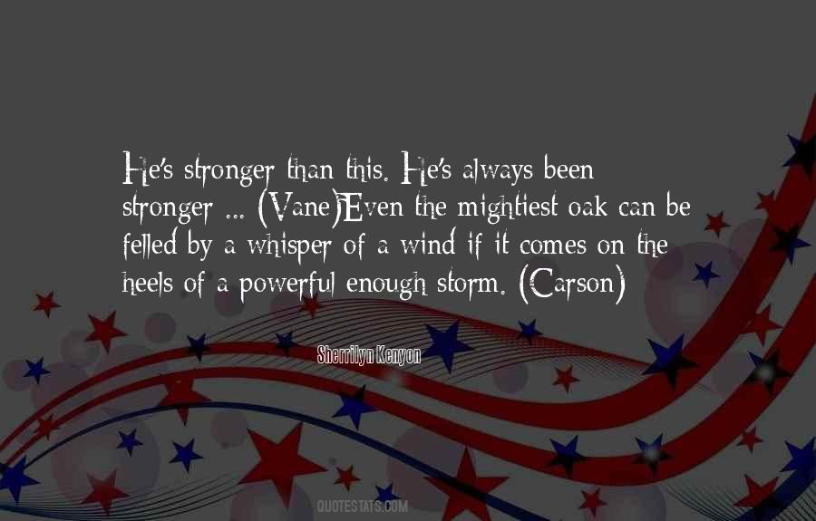 Be The Storm Quotes #1315345