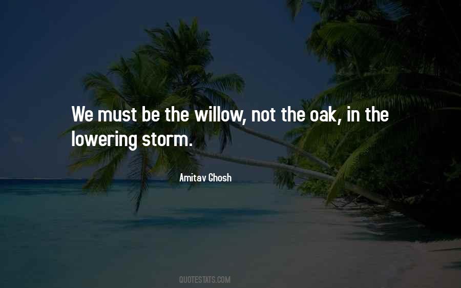 Be The Storm Quotes #1711643