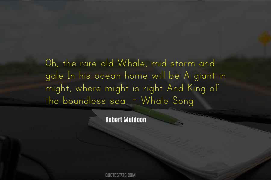 Be The Storm Quotes #1761586