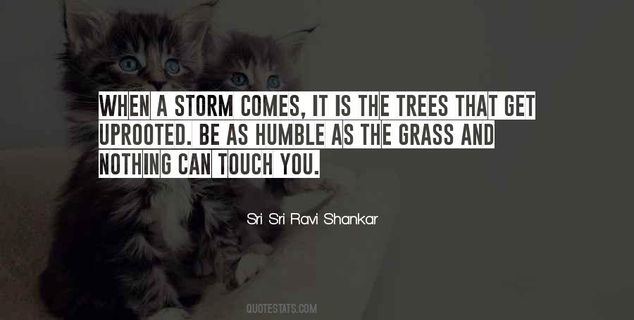 Be The Storm Quotes #488503