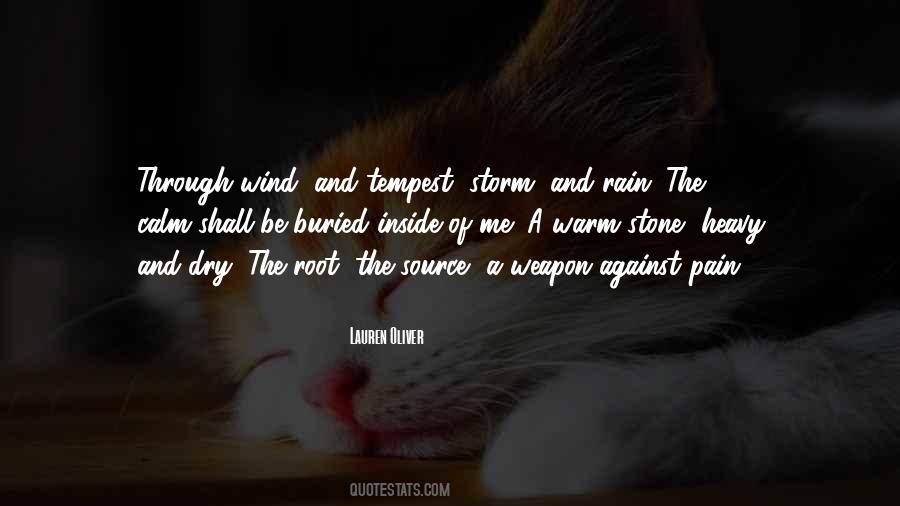 Be The Storm Quotes #613287