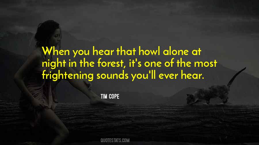 Alone At Night Quotes #131014