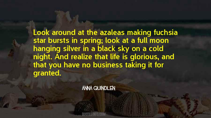 Cold Moon Quotes #376746