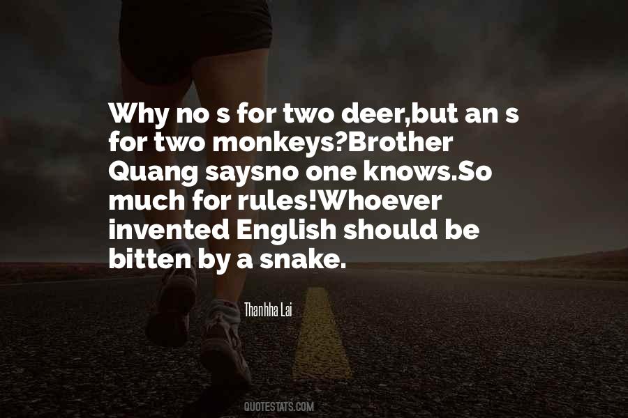 English Brother Quotes #555896