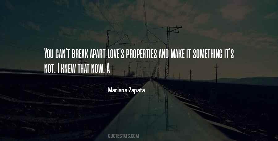 Love Can Break You Quotes #976667